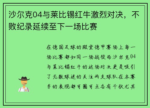 沙尔克04与莱比锡红牛激烈对决，不败纪录延续至下一场比赛